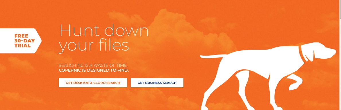Copernic Promotional Codes